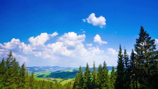 Time Lapse Lago Sinevir Nelle Montagne Carpatiche — Video Stock