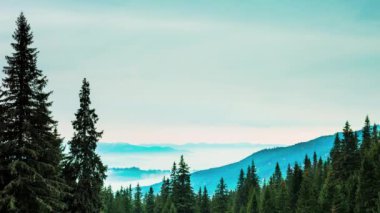 Güçlü bir Kış Soğuk