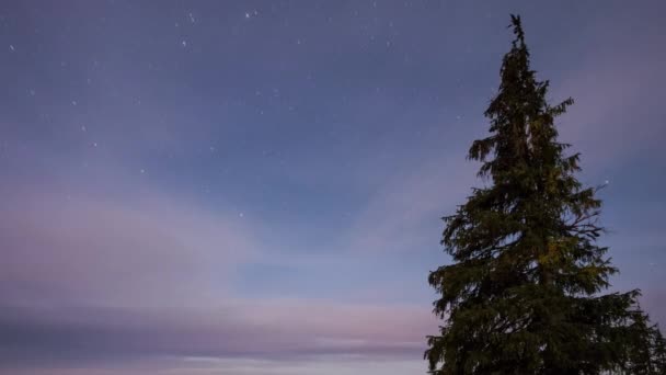 Cielo Stellato Time Lapse Carpatian Mountains Timelapse Fotografato Sulla Fotocamera — Video Stock