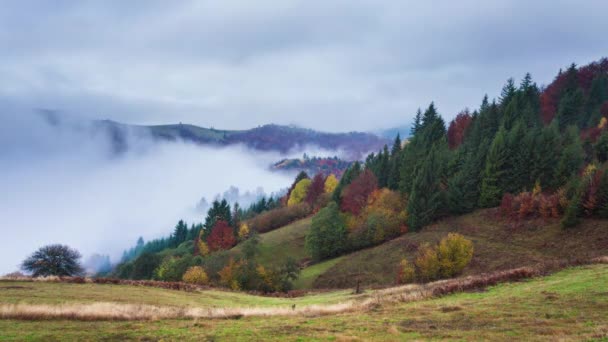 Tempo Decadenza Dell Alba Nebbioso — Video Stock