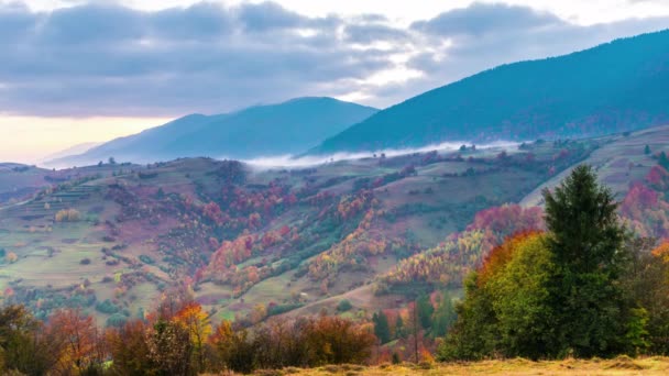 Tempo Decadenza Dell Alba Nebbioso — Video Stock