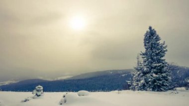 Güçlü bir kar fırtınası