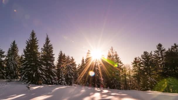 Aurora Time Lapse Dans Montagne Hiver — Video