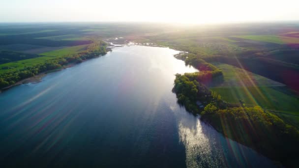 太陽が水を照らす湖を飛ぶ — ストック動画