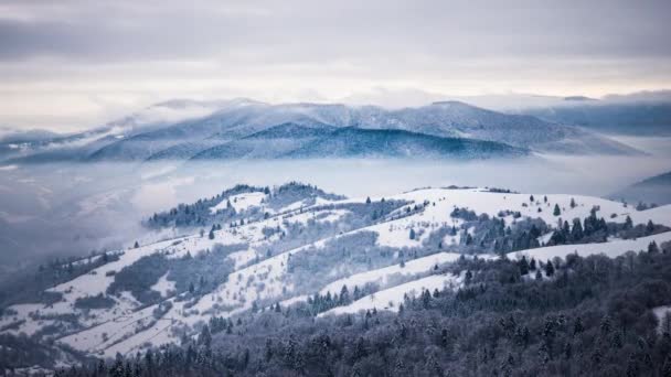 Una Fuerte Tormenta Nieve Invierno — Vídeos de Stock