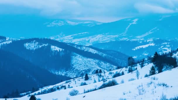 Starker Schneesturm Winter — Stockvideo