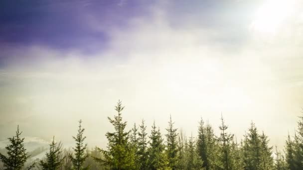 Winter Carpatiaanse Bergen Prachtig Zonsondergang Landschap Met Vogelperspectief Uhd — Stockvideo