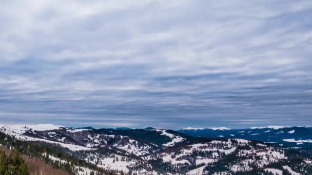 Winter Carpatian Mountains Beautiful Dawn Landscape Bird Eye View Uhd — Stock Video