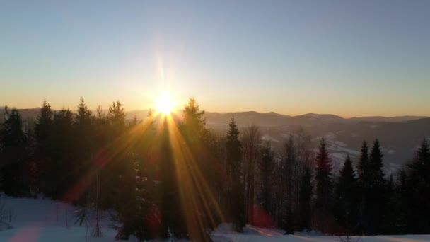 無線通信塔の上を飛んで 山の雪は冬の風景をカバー — ストック動画