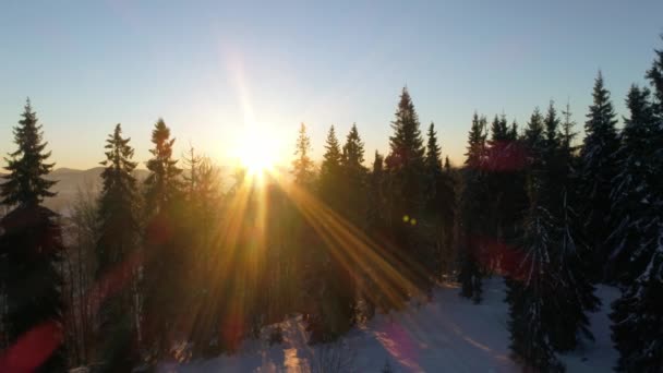 冬季在喀尔巴阡山 美丽的日落风景与鸟瞰 Uhd — 图库视频影像