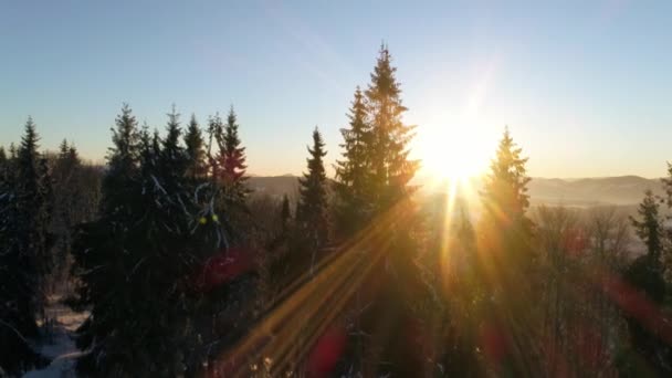 Inverno Montanhas Carpatian Paisagem Bonita Por Sol Com Vista Olho — Vídeo de Stock