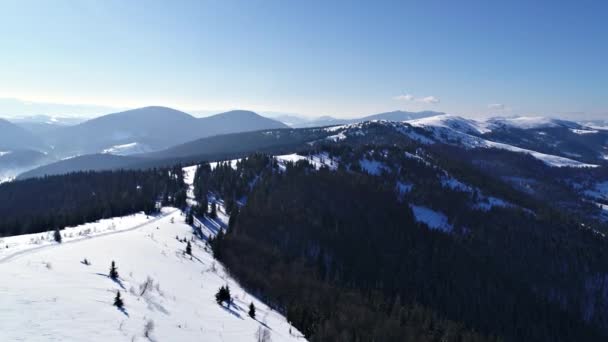 Vinter Carpatian Bergen Ski Resort Landskap Med Ett Fågelperspektiv Uhd — Stockvideo