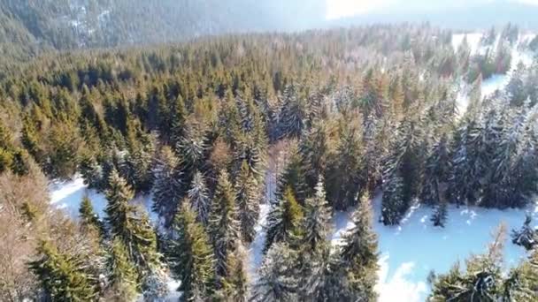 Winter Carpatians Natuur Vanuit Lucht Realtime Uhd — Stockvideo