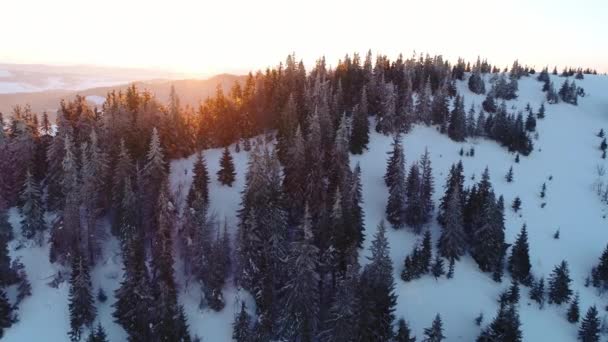 Letecký Výhled Východ Slunce Zimní Hora — Stock video