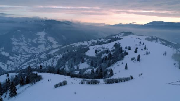 冬季飞越喀尔巴阡山 美丽的风景与鸟瞰 Uhd — 图库视频影像
