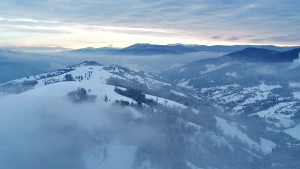 冬のカルパチア山脈を飛び越え 鳥の目の景色を望む美しい風景 Uhd — ストック動画