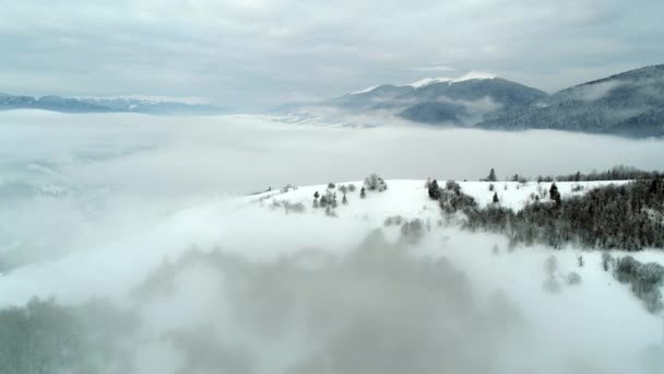 Fly Πάνω Από Χειμώνα Καρπάθια Βουνά Όμορφο Τοπίο Θέα Μάτια — Αρχείο Βίντεο