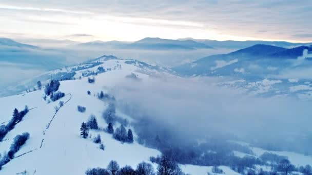 Voe Sobre Montanhas Carpatian Inverno Paisagem Bonita Com Vista Olho — Vídeo de Stock