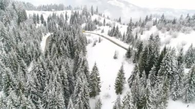 Kış Karpatları doğası, gerçek zamanlı kar yağışı, Uhd 4k