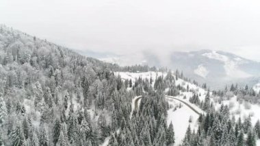 Kış Karpatları doğası, gerçek zamanlı kar yağışı, Uhd 4k