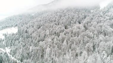 Kış Karpatları doğası, hava manzarası gerçek zamanlı kar yağışı, Uhd 4k