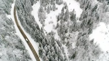 Kış Karpatları doğası, gerçek zamanlı kar yağışı, Uhd 4k