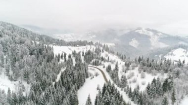 Kış Karpatları doğası, gerçek zamanlı kar yağışı, Uhd 4k