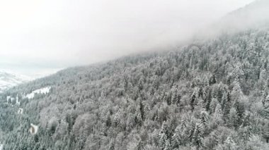 Kış Karpatları doğası, hava manzarası gerçek zamanlı kar yağışı, Uhd 4k