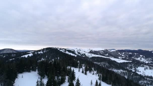 Fliegen Sie Über Die Winterlichen Karpatischen Berge Schöne Landschaft Aus — Stockvideo