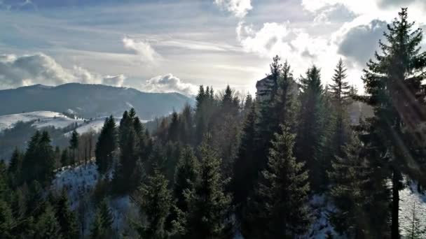 Winter Carpatians Natuur Vanuit Lucht Realtime Uhd — Stockvideo