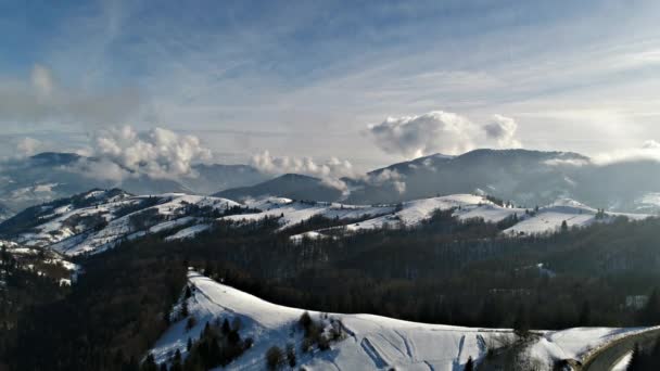 Winter Carpatians Nature Aerial View Realtime Uhd — Stock Video