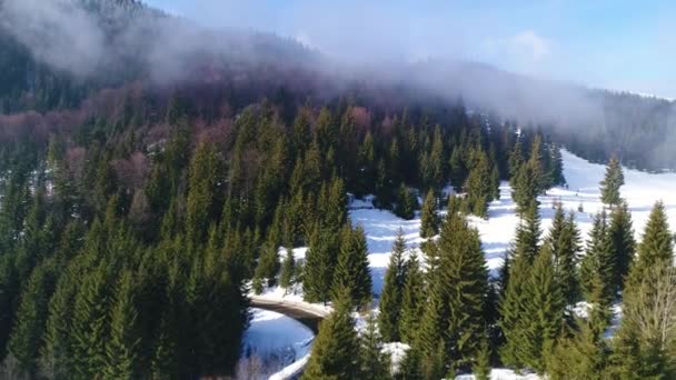 Inverno Carpatians Natureza Vista Aérea Tempo Real Uhd — Vídeo de Stock