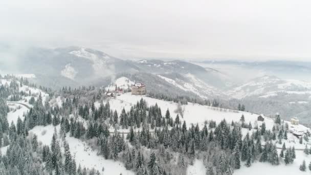 Lot Nad Ukraińskim Lasem Zimowym Widok Góry — Wideo stockowe