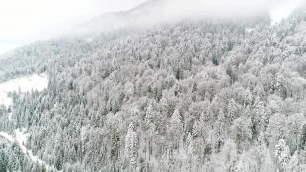 Winter Carpatians Nature Aerial View Realtime Snowfall Uhd — Stock Video