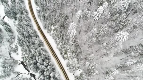 Vinter Carpatians Natur Realtid Snöfall Uhd — Stockvideo