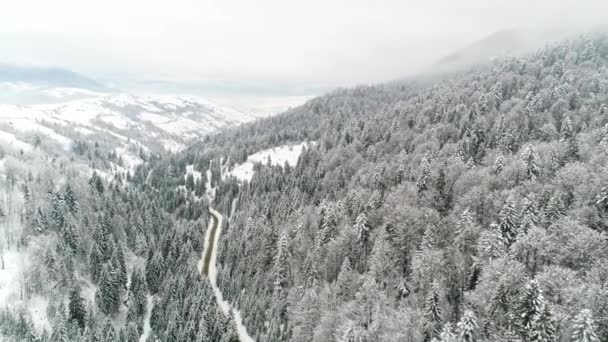 Winter Carpatians Natuur Realtime Sneeuwval Uhd — Stockvideo
