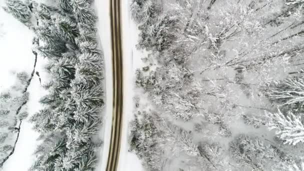 Zima Carpatians Natura Czasie Rzeczywistym Opady Śniegu Uhd — Wideo stockowe