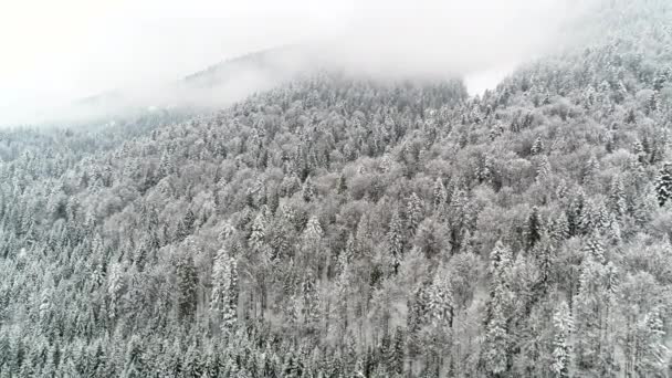 Winter Karpatien Natur Luftbild Echtzeit Schneefall Uhd — Stockvideo