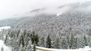 Kış Karpatları doğası, gerçek zamanlı kar yağışı, Uhd 4k