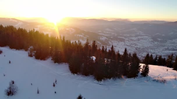 Winter Carpatian Mountains Beautiful Sunset Landscape Bird Eye View Uhd — Stock Video