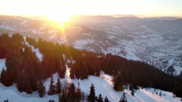 Hiver Dans Les Montagnes Carpatiennes Beau Paysage Coucher Soleil Avec — Video