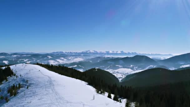 冬季在卡帕蒂安山 滑雪胜地景观与鸟图 Uhd — 图库视频影像