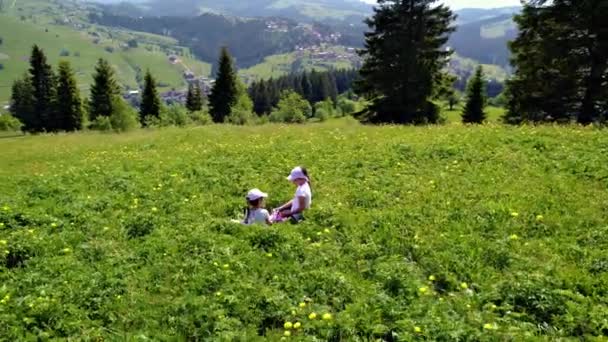 Flickor Spela Grön Äng — Stockvideo