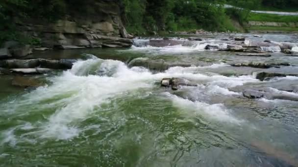 カルパチア山脈の緑の森に流れる川の水 — ストック動画