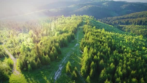 Luchtfoto Van Het Dorp Yablunytsia Carpatiaanse Bergen Landschap Met Vogelperspectief — Stockvideo