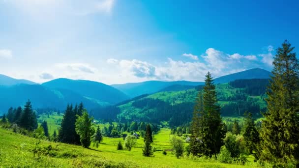 Tijdsverloop Wolken Bewegen Dennenbomen Hoogland Bos Wazig Ochtendlandschap Bij Karpaten — Stockvideo