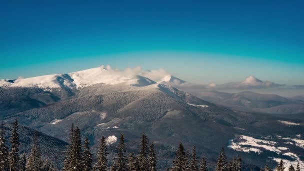 Belle Journée Montagne Nuageux Hiver Sapin — Video