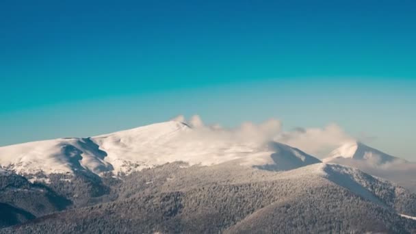 Belo Dia Montanha Abeto Inverno Nublado — Vídeo de Stock