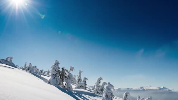 Mooie Bergdag Bewolkte Winterdennenboom — Stockvideo