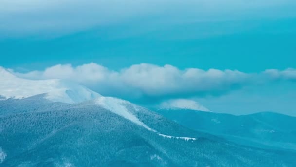 Belo Dia Montanha Abeto Inverno Nublado — Vídeo de Stock